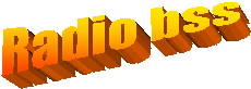 Radio bss